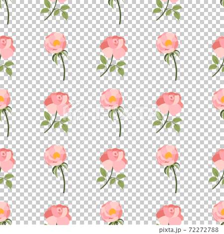 Seamless pattern with pink rose and peony on white background. 72272788