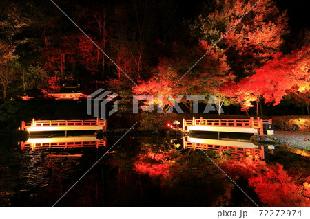 えさし藤原の郷　紅葉ライトアップ 72272974