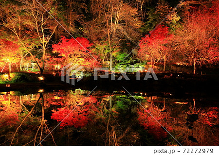 えさし藤原の郷 紅葉ライトアップ えさし藤原の郷 紅葉ライトアップ 72272979