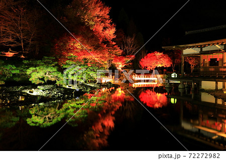 えさし藤原の郷　紅葉ライトアップ 72272982