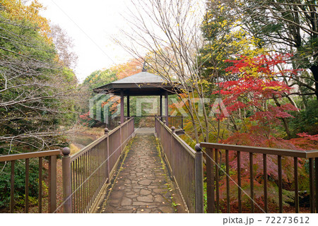 紅葉の、千葉県船橋市、小室公園 紅葉の、千葉県船橋市、小室公園 72273612