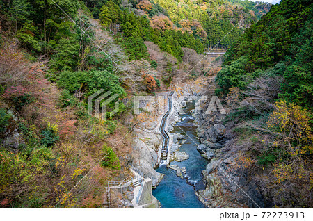 奥多摩白丸ダムの魚道 72273913