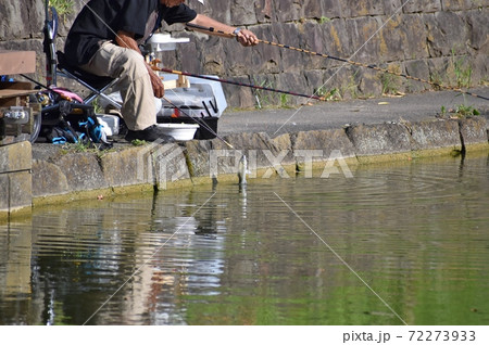 ヘラブナ釣り 72273933