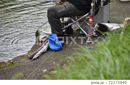 ヘラブナ釣り 72273940