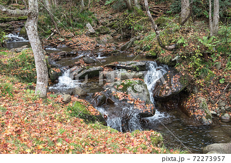 【飛騨高山 紅葉が美しい宇津江四十八滝】 【飛騨高山 紅葉が美しい宇津江四十八滝】 72273957
