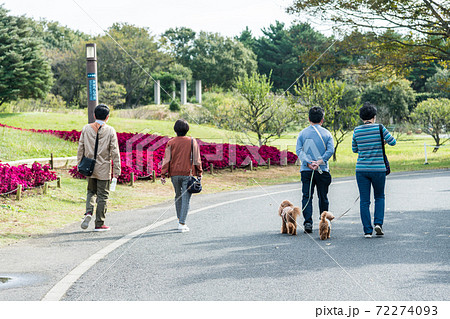 国営ひたち海浜公園 みはらしの丘へ向かう様子 の写真素材