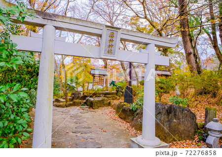 薬神神社 薬神神社 72276858