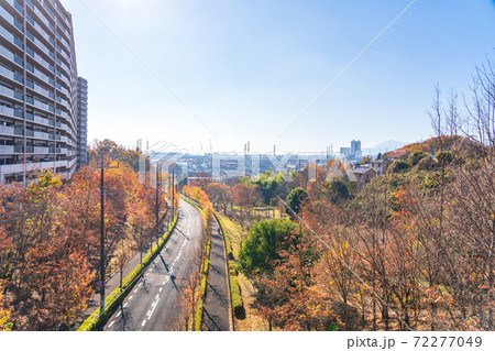 東京都町田市 環境のいい住まい 秋の小山田端自然公園から相模原市街を展望 東京都町田市 環境のいい住まい 秋の小山田端自然公園から相模原市街を展望 72277049
