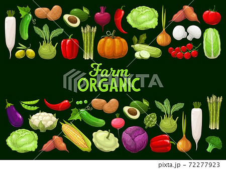 Vegetables, organic farm vector veggies, greenery 72277923