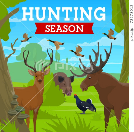 Hunting season, hunt for animals in wild forest 72278012