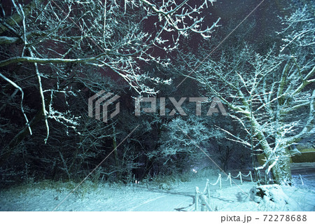 夜に降る静かな雪 72278688