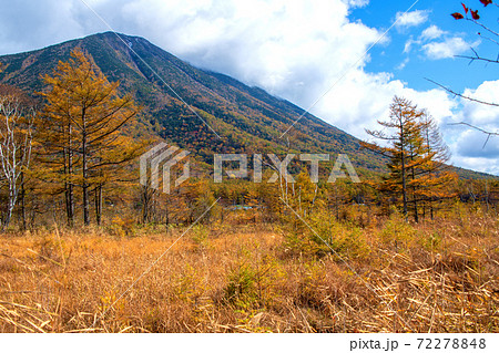 日光　国道120号沿い　戦場ヶ原　男体山　紅葉景色　秋景色　　 72278848