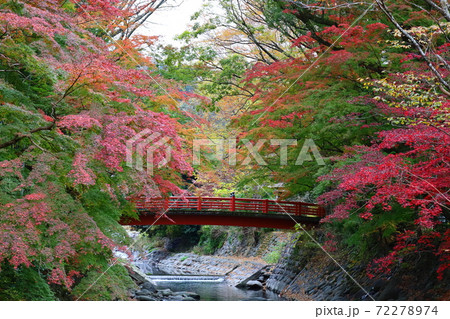 修善寺温泉街の桂橋と紅葉の風景 72278974
