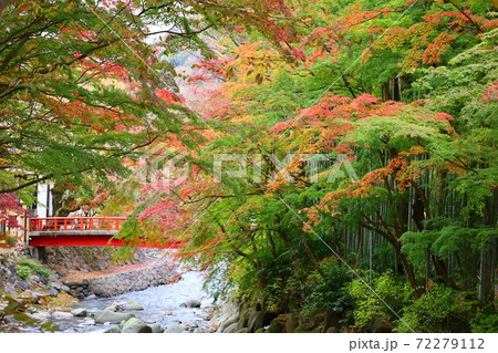 修善寺温泉の楓橋と紅葉の風景 修善寺温泉の楓橋と紅葉の風景 72279112