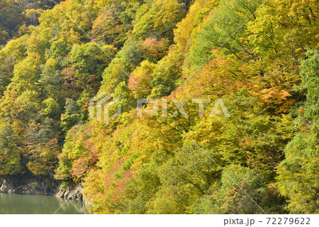 【長野県　鬼無里】奥裾花渓谷の紅葉 72279622