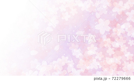 桜の背景イラスト　花びら　サクラ　春　イラスト素材 72279666