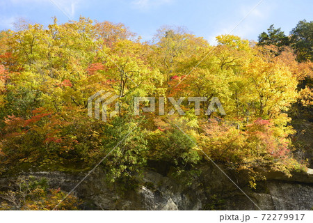 【長野県　鬼無里】奥裾花渓谷の紅葉 72279917