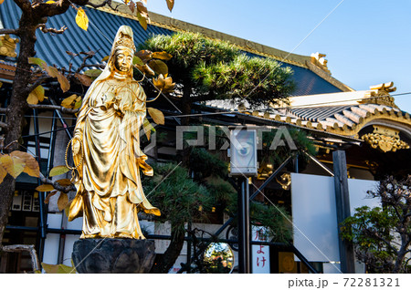 栃木県佐野市 佐野厄除け大師(麗水観音と本堂) 栃木県佐野市 佐野厄除け大師(麗水観音と本堂) 72281321