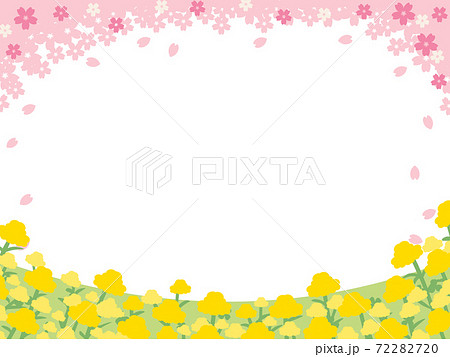 かわいい桜と菜の花の春フレームのイラスト素材 72282720 Pixta