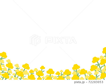 菜の花の花畑フレームのイラスト素材 7253