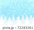 もみの木の背景素材02 72283261