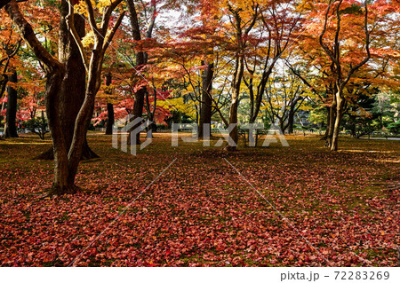 兼六園の鮮やかな紅葉 72283269