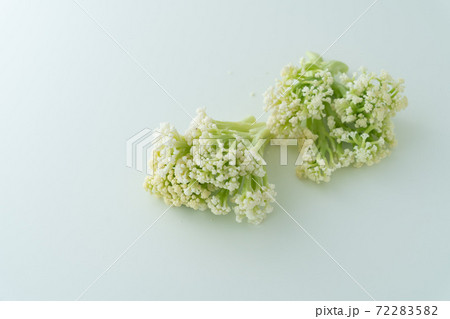 カリフラワー　カリフローレ 72283582