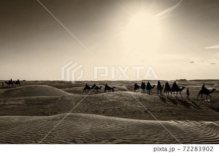 caravan with silhouettes of people on camels moving across the sugar desert 72283902