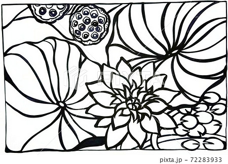泥の池でも見事に咲き誇る 蓮の花の塗り絵です 綺麗に縫って飾りましょう のイラスト素材