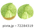 キャベツのイラスト 72284319
