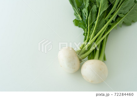 美味しそうなカブ 美味しそうなカブ 72284460