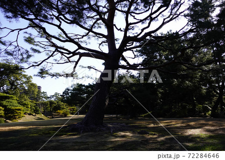 栗林公園 72284646