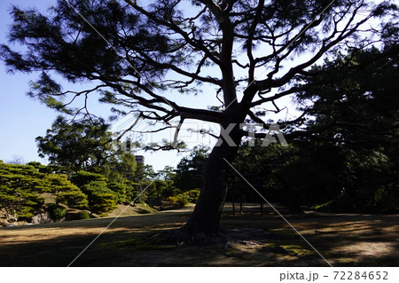 栗林公園 72284652