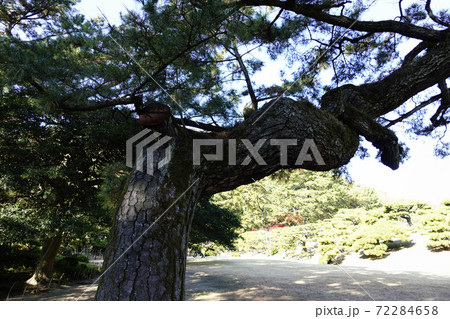 栗林公園 72284658