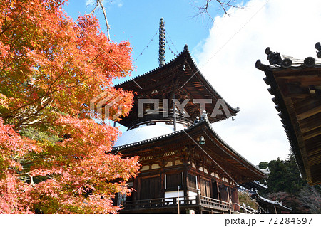 根来寺 大塔と紅葉 根来寺 大塔と紅葉 72284697