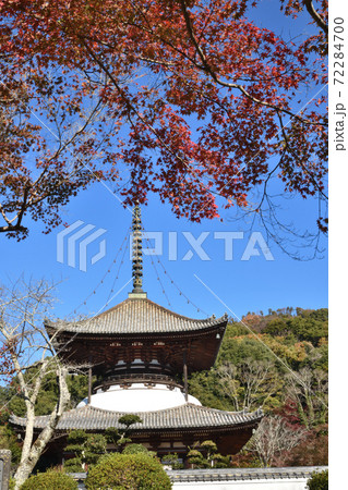 根来寺 大塔と紅葉 根来寺 大塔と紅葉 72284700