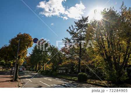 しいのき迎賓館の紅葉 しいのき迎賓館の紅葉 72284905