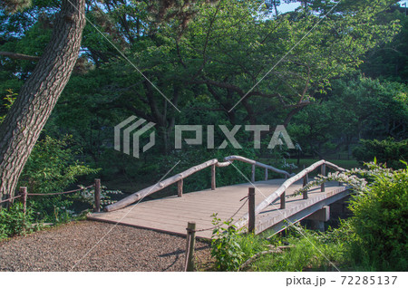日本庭園の木造橋 (三渓園、横浜、神奈川県) 72285137