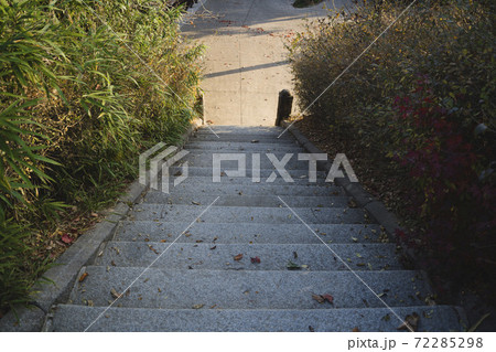 スポット 距離 階段 72285298