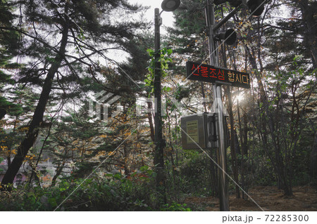 山 公園 自然 72285300