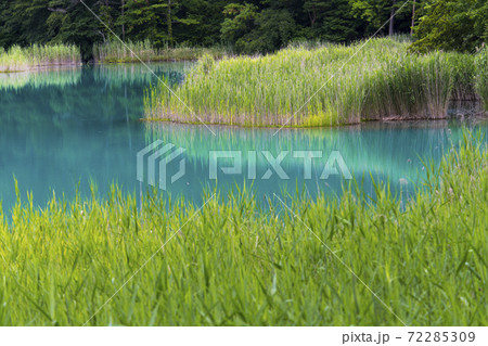 弁天沼 五色沼湖沼群 弁天沼 五色沼湖沼群 72285309
