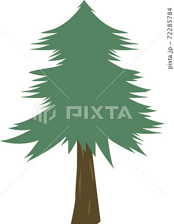 葉の尖った杉の木のイラストのイラスト素材