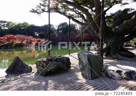 《香川県》栗林公園・紅葉 《香川県》栗林公園・紅葉 72285805