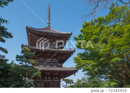 新緑に囲まれた旧燈明寺三重塔 (三渓園、横浜、神奈川県) 新緑に囲まれた旧燈明寺三重塔 (三渓園、横浜、神奈川県) 72285910