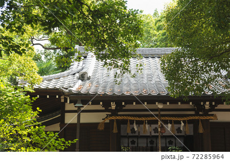 安居神社 72285964