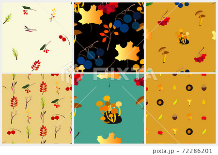 Autumn vector seamless pattern set with berries, acorns, pine cone, mushrooms, branches and leaves. 72286201