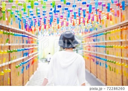 滋賀県 琵琶湖の見える丘 風鈴のよし小道 72286260