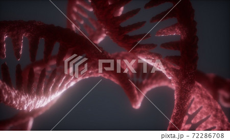 loop double helical structure of dna strand close-up animation loop double helical structure of dna strand close-up animation 72286708
