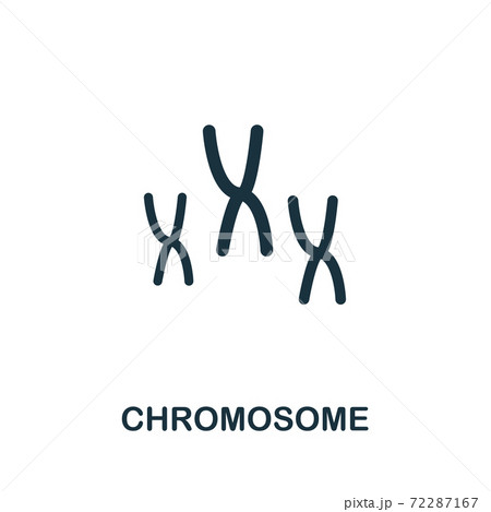Chromosome vector icon symbol. Creative sign from biotechnology icons collection. Filled flat Chromosome icon for computer and mobile 72287167