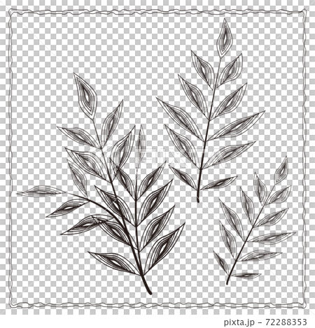 Botanical simple plant drawn in a circle Botanical simple plant drawn in a circle 72288353
